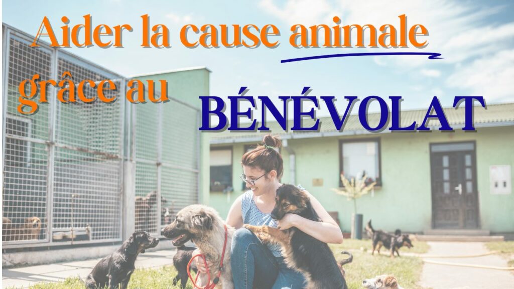 aider la cause animale