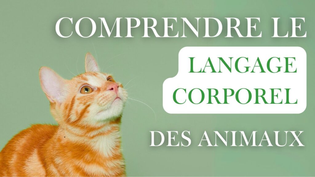 langage-animaux